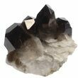 Smoky Quartz Crystal Cluster - Brazil #61485-1